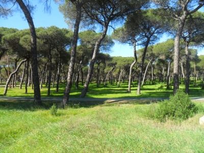 NATURALEZA Y DEPORTE